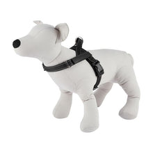 Pet Customisable Harness, Large, Black - Anko
