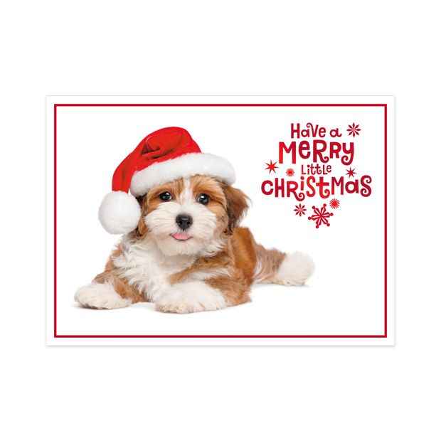 10 Pack Hallmark Boxed Charity Christmas Cards - Have a Merry Little Christmas