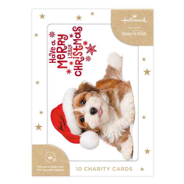 10 Pack Hallmark Boxed Charity Christmas Cards - Have a Merry Little Christmas