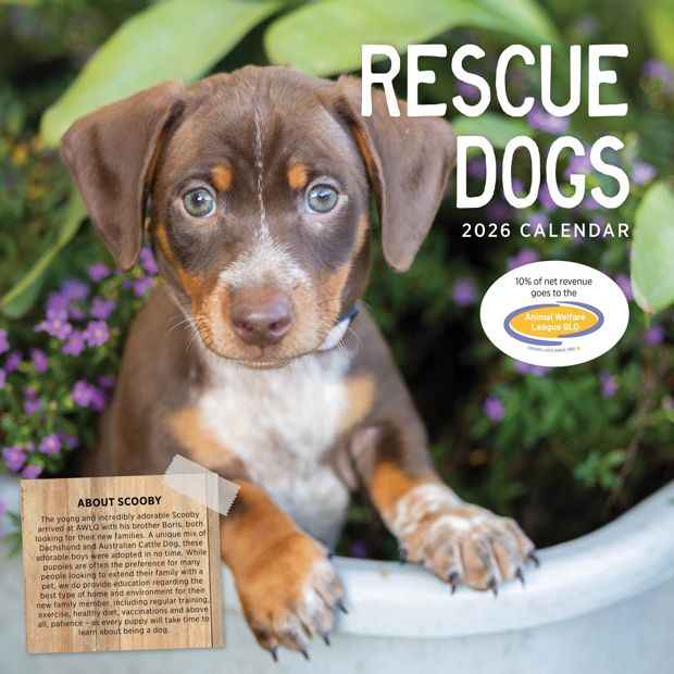 Rescue Dogs 2026 Calendar