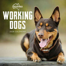 Our Australia Working Dogs 2026 Calendar