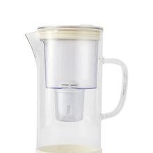 Anko 2.4L Glass Water Jug with Filter