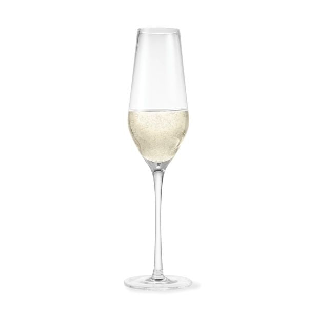 Anko 6 Vino Champagne Glasses
