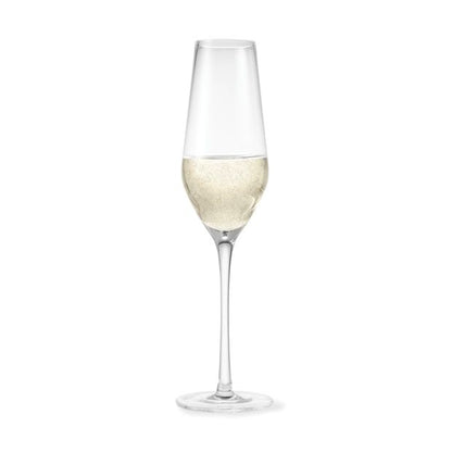 Anko 6 Vino Champagne Glasses