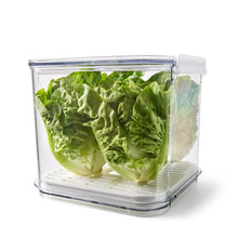 Anko 2.5L Fridge Storage - Clear and White