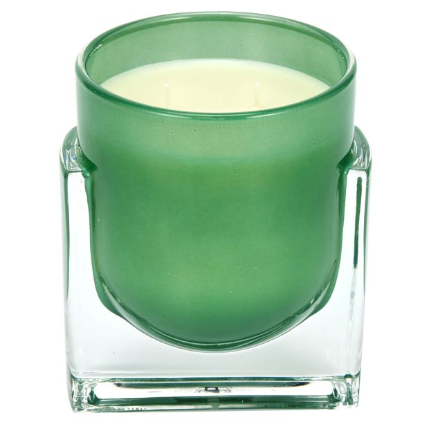 Anko Luxe Amber Sage Candle