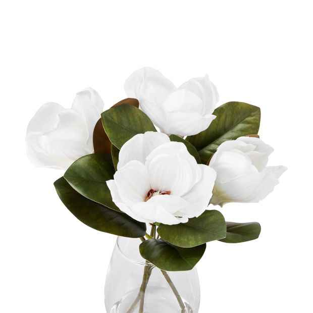 Anko Artificial Magnolias in Glass Vase