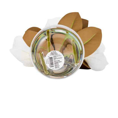 Anko Artificial Magnolias in Glass Vase