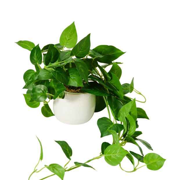 Artificial Trailing Pothos Plant in Pot