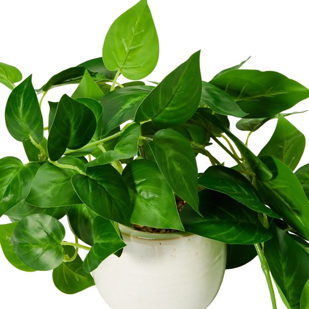 Anko Artificial Draping Pothos in Pot