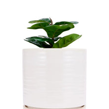 Anko Milk Look Glaze Ceramic Pot