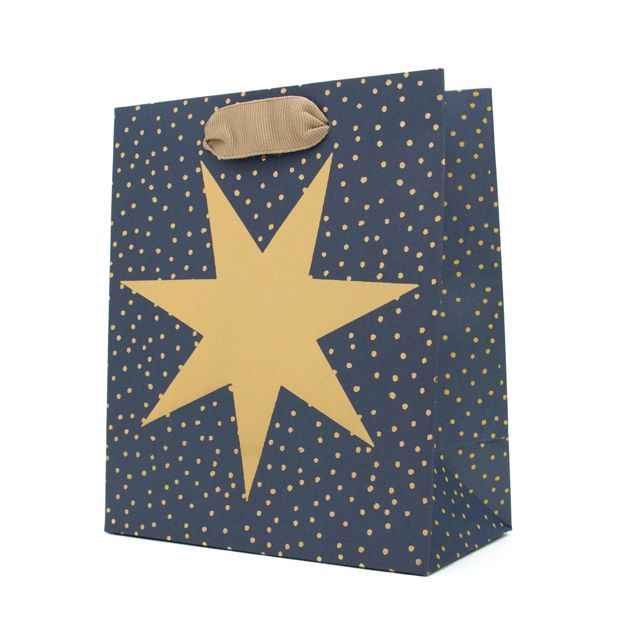 Hallmark Festive Gift Bag - Small