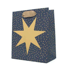 Hallmark Festive Gift Bag - Small