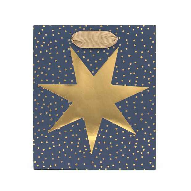 Hallmark Festive Gift Bag - Small