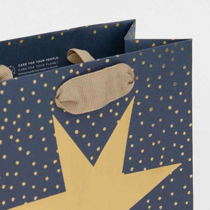 Hallmark Festive Gift Bag - Small