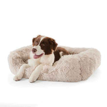 Large Comfort Pet Bed - Everyday Use