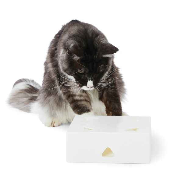 Anko Cat Enrichment Toy