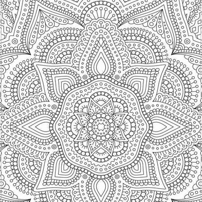 Colour Your Own Mandala Mindful Poster Art - Book