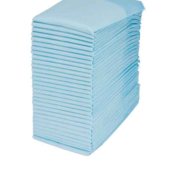 Large Absorbent Training Pads - 30 Pack