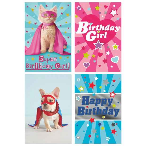 12 Pack Birthday Cards - Animal Designs