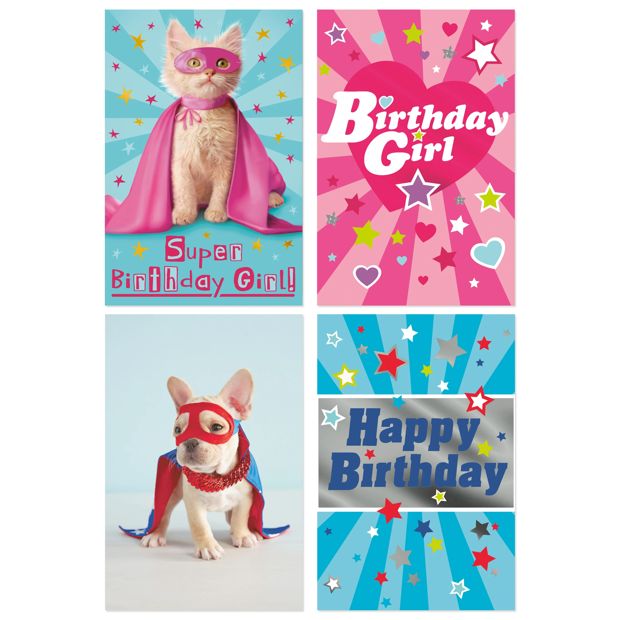 12 Pack Hallmark Birthday Cards - Cat and Dog