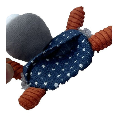 Anko Turtle with Catnip