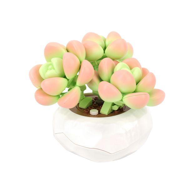 Mini Blocks Flower Series: Succulent Pot - Assorted