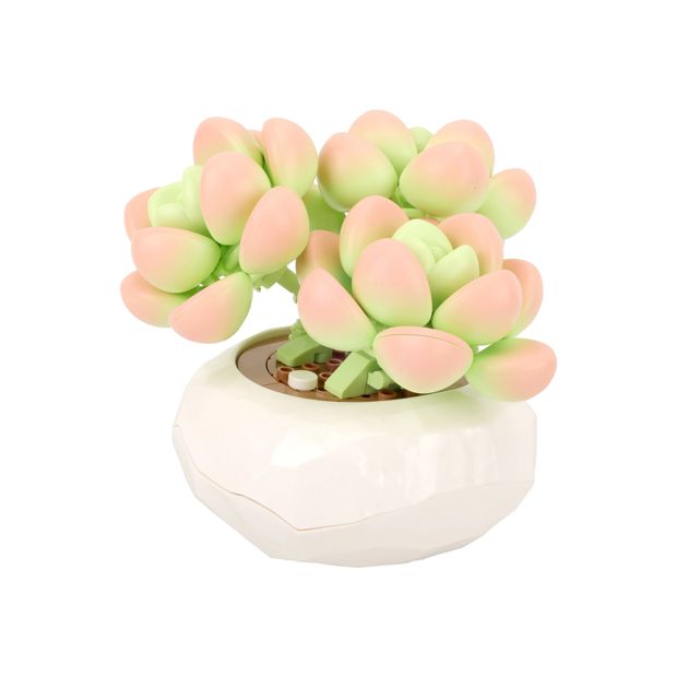 Mini Blocks Flower Series: Succulent Pot - Assorted