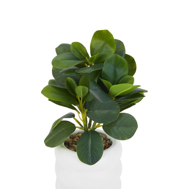 Anko Artificial Peperomia Plant in Pot