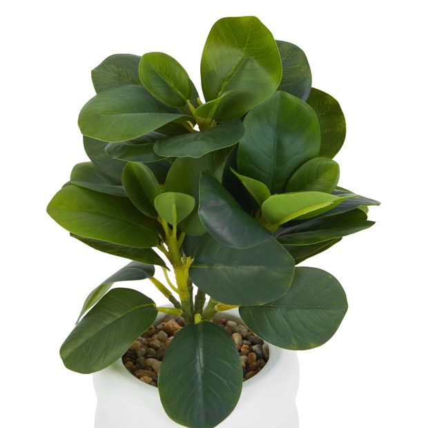 Anko Artificial Peperomia Plant in Pot