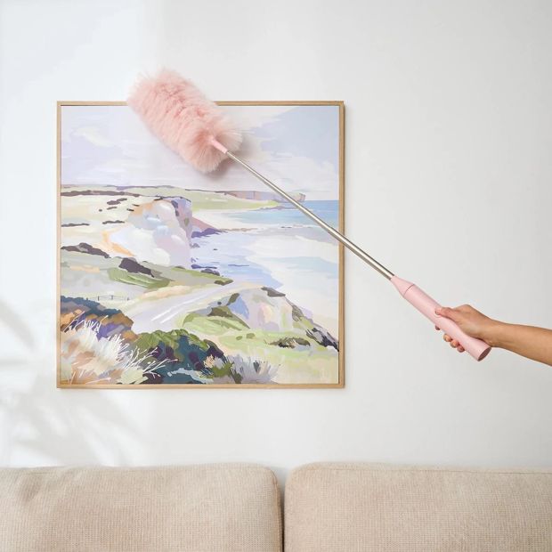 Anko Extendable Electric Duster - Pink