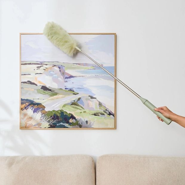 Anko Extendable Electric Duster - Green