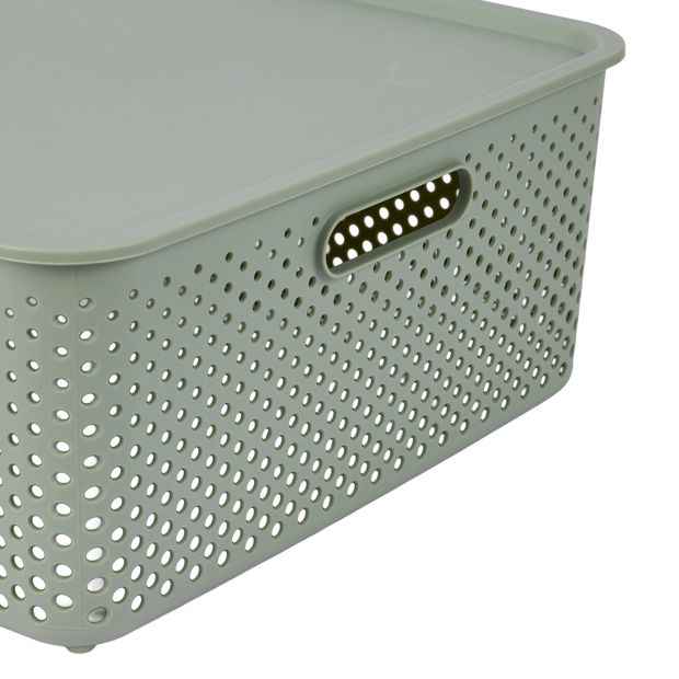 Anko 19L Dot Container - Green