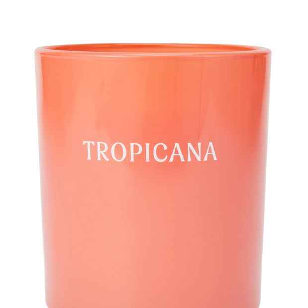 Anko Tropicana Fragrant Candle