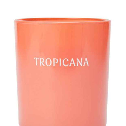 Anko Tropicana Fragrant Candle