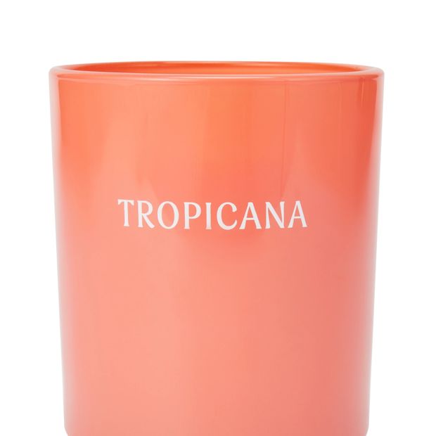 Anko Tropicana Fragrant Candle