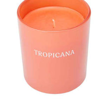 Anko Tropicana Fragrant Candle