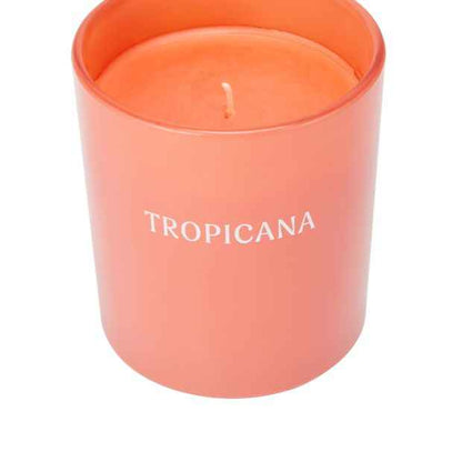 Anko Tropicana Fragrant Candle