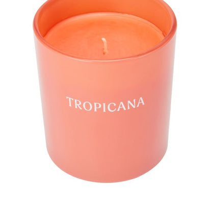 Anko Tropicana Fragrant Candle