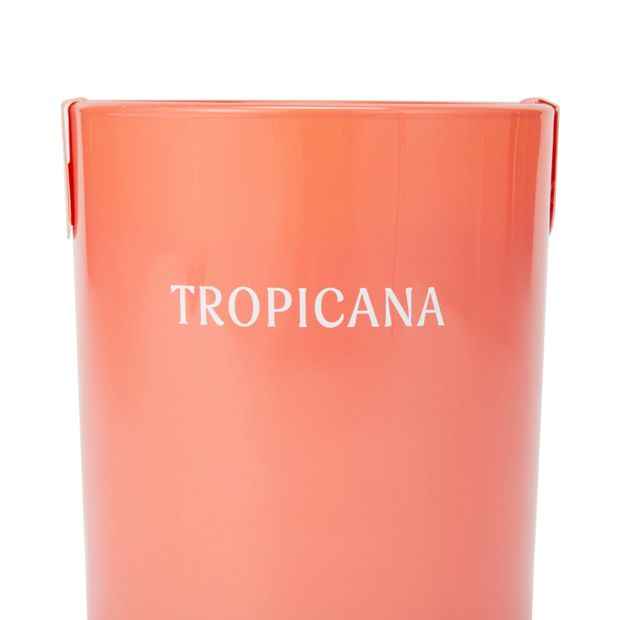 Anko Tropicana Fragrant Candle