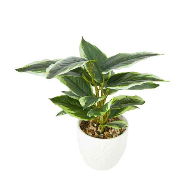 Anko Artificial Leopard Lily Plant in Palm Pot