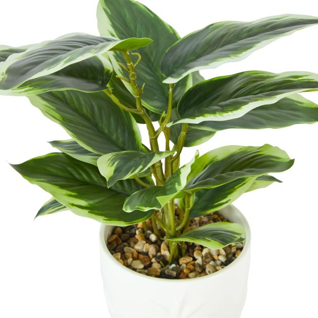 Anko Artificial Leopard Lily Plant in Palm Pot