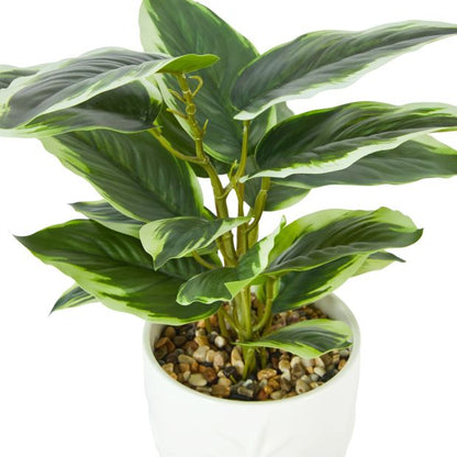 Anko Artificial Leopard Lily Plant in Palm Pot