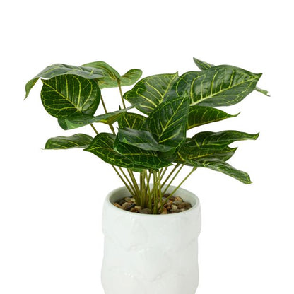 Anko Artificial Syngonium Plant in Shell Pot