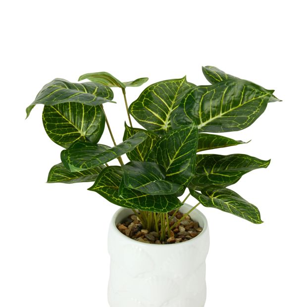 Anko Artificial Syngonium Plant in Shell Pot