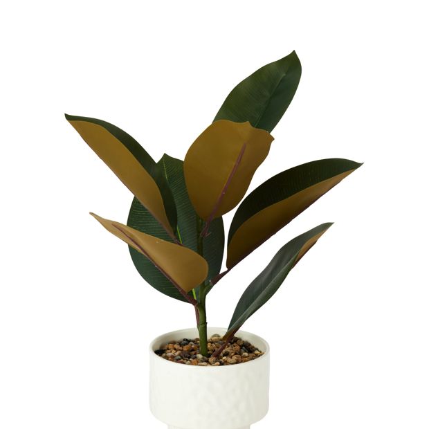 Anko Artificial Rubber Plant in Textured Pot