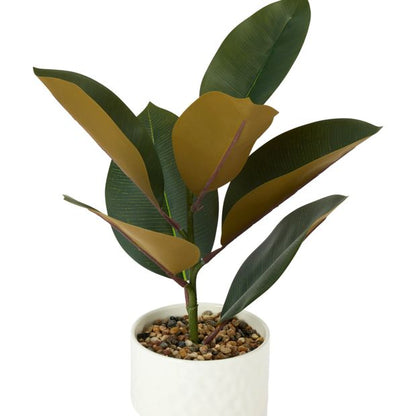 Anko Artificial Rubber Plant in Textured Pot
