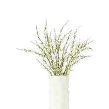 Anko Shell Textured Ceramic Vase