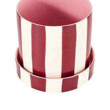 Anko Burgundy Stripe Ceramic Pot with Saucer
