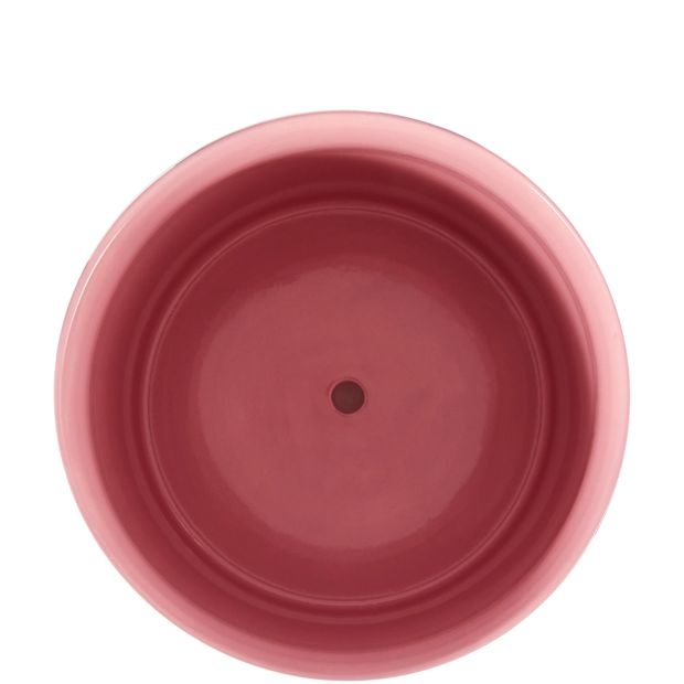 Anko Burgundy Stripe Ceramic Pot with Saucer